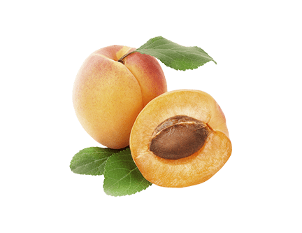 Apricot