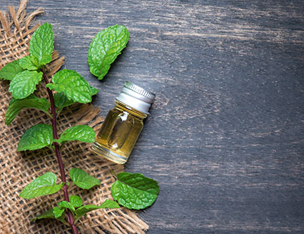 Peppermint Oil