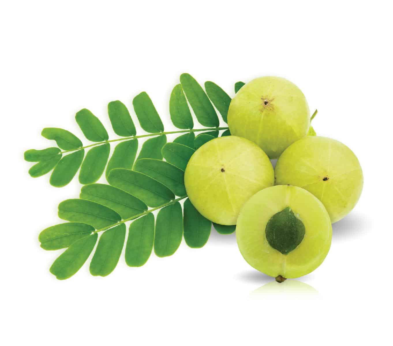 Amla–A Complete Hair tonic