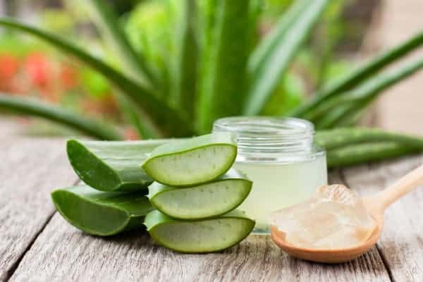 Top 7 Aloe Vera Benefits for Skin and Hair with moha: Aloe Gel